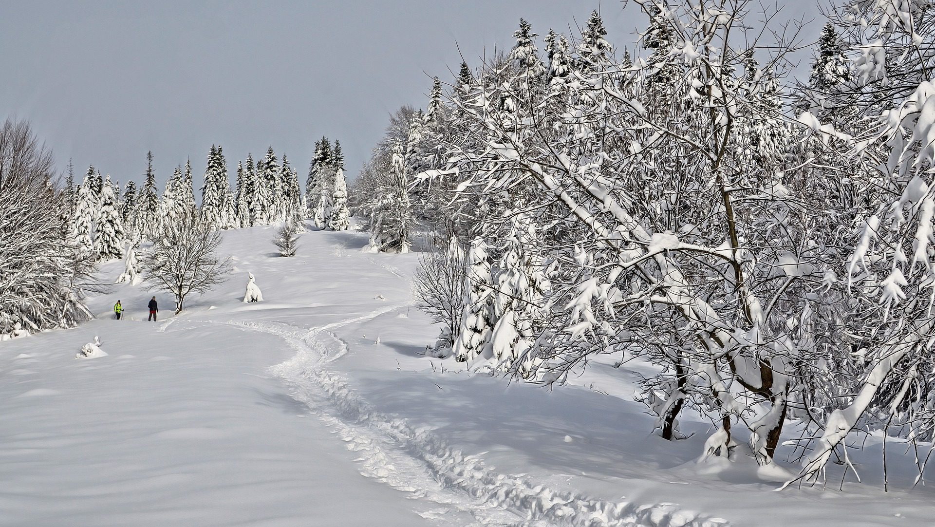 skiing Poland