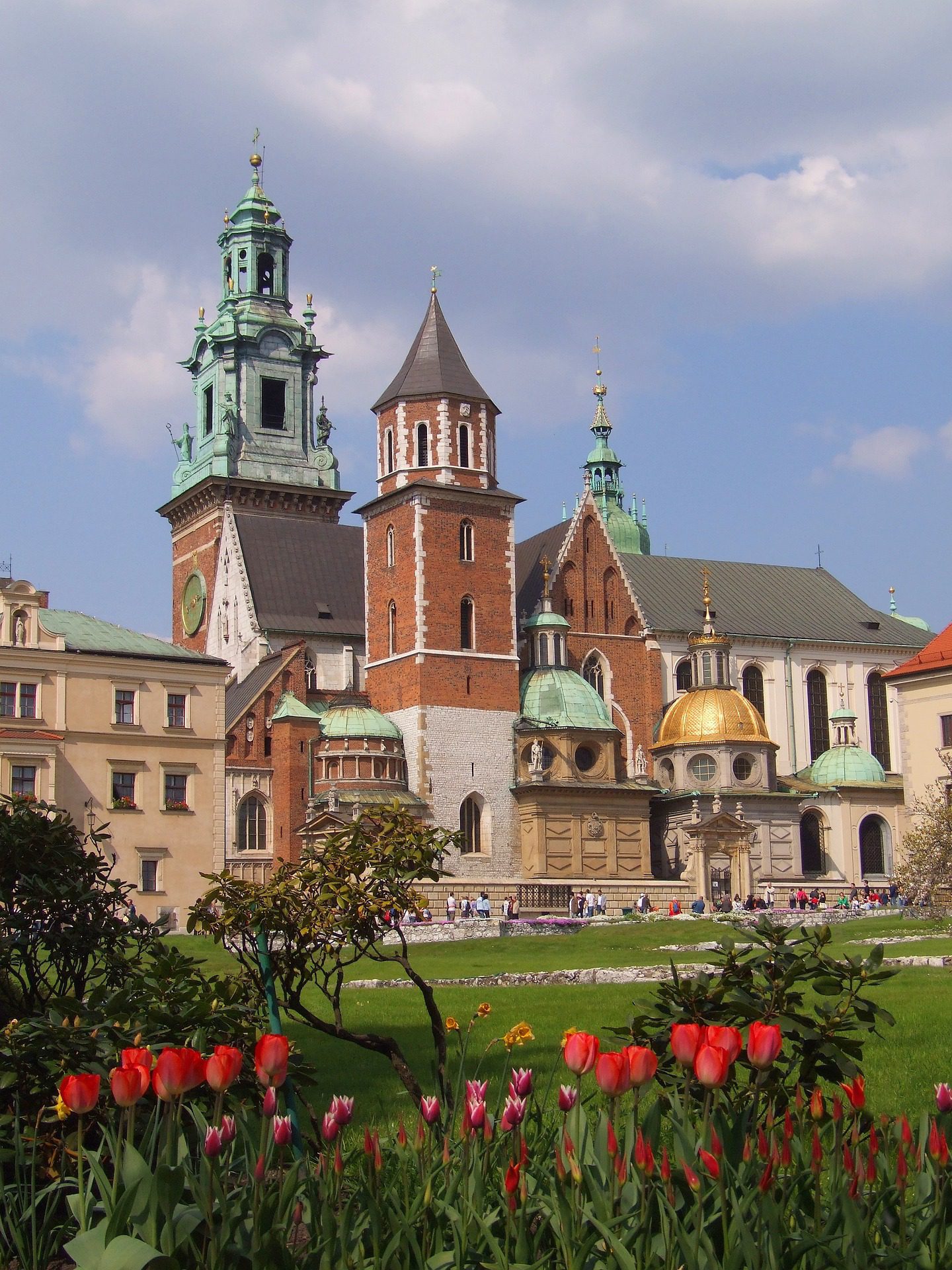 dentists krakow